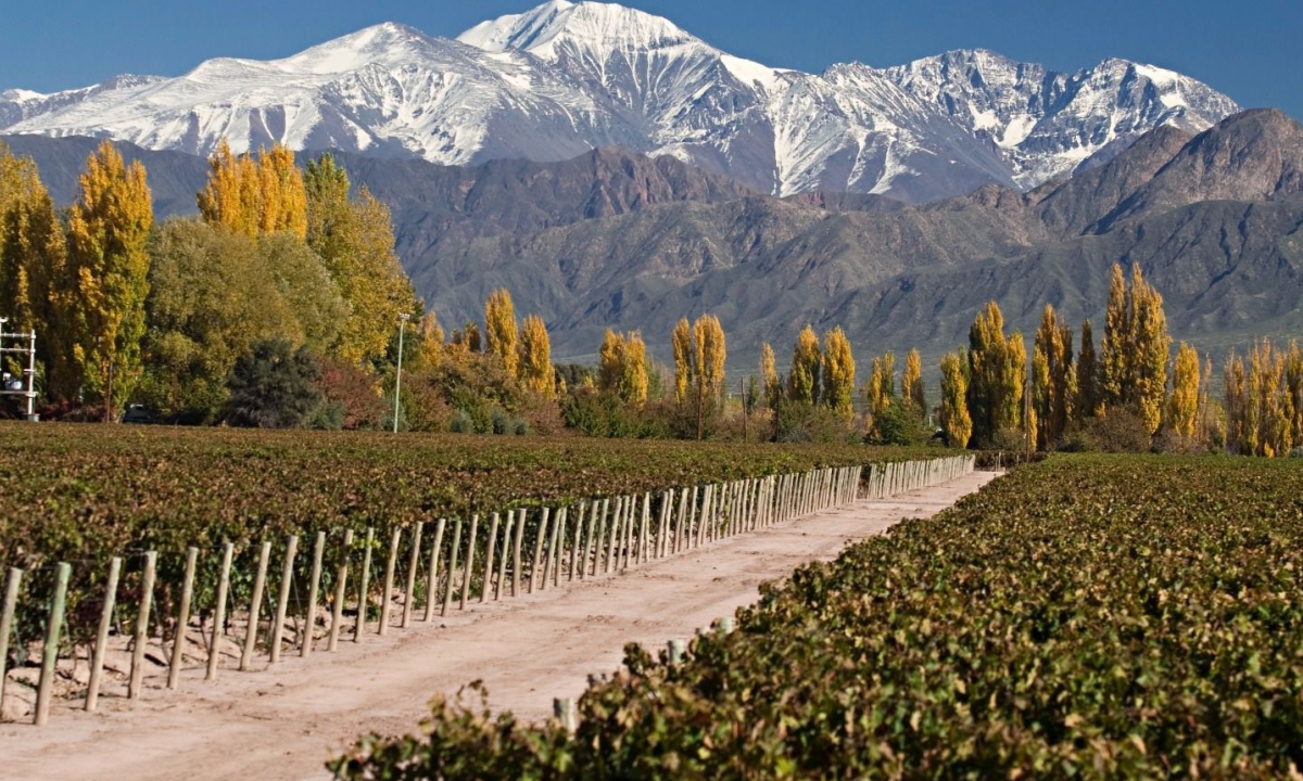 Mendoza