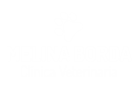 Cli. Veterinaria Melina Borda